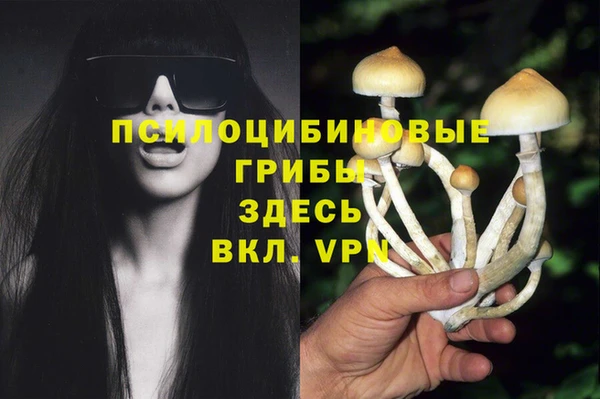 герыч Арсеньев